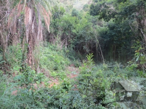 LOTE COM TIMA TOPOGRAFIA NO VEREDAS